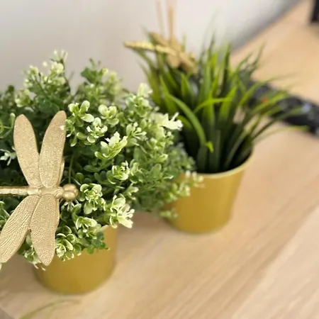 Apartament Good Time Centrum Strzelecka B *