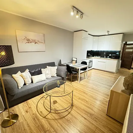 Apartment Good Time Strzelecka B Poznan