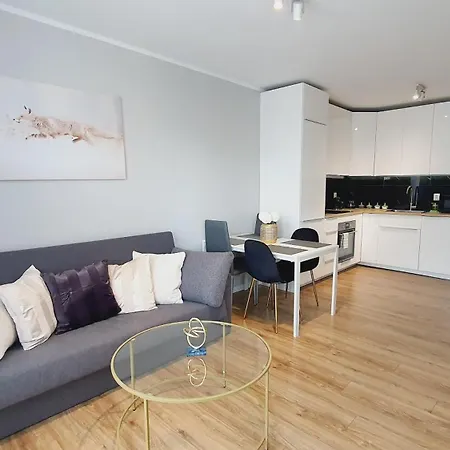 Good Time Centrum Strzelecka B Apartament *