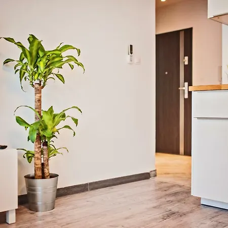 Apartament Good Time Centrum Strzelecka B Poznań