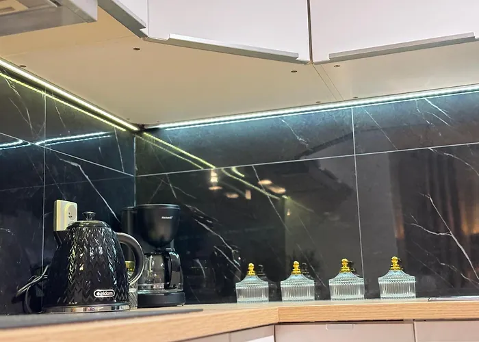 Daire Good Time Centrum Strzelecka B Poznan