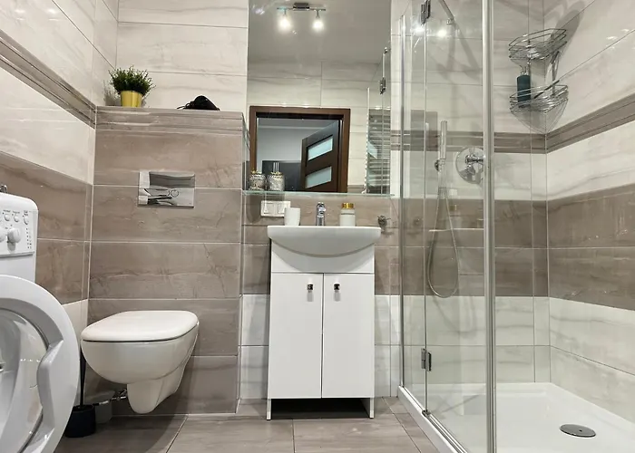 Good Time Centrum Strzelecka B 公寓 波兹南