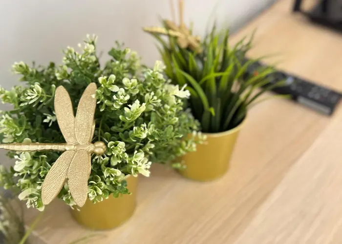 公寓 Good Time Centrum Strzelecka B *