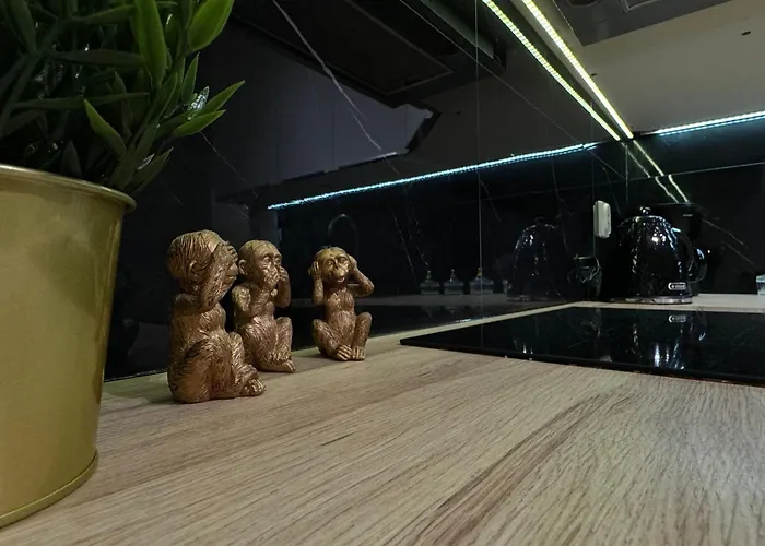 Good Time Centrum Strzelecka B 公寓 波兹南