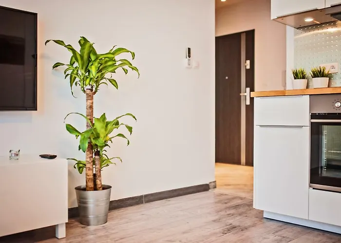Appartement Good Time Centrum Strzelecka B Poznań